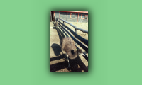 20150922_101801.jpg