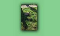 20150922_102457.jpg