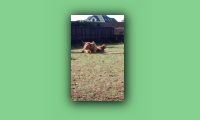 20150922_102815.jpg
