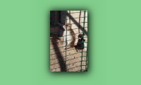 20150922_103428.jpg