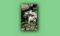 20150922_104244.jpg