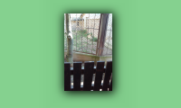 20150922_104540.jpg