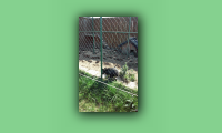 20150922_110653.jpg